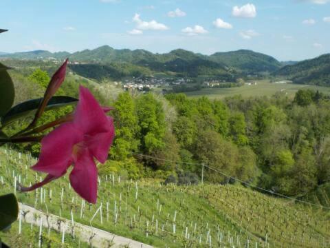 ホテル Colle Del Sole Miane エクステリア 写真